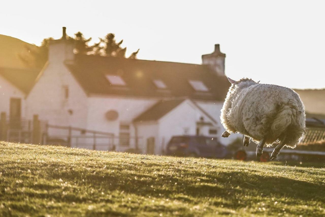 Arle Farmhouse Tobermory Zewnętrze zdjęcie
